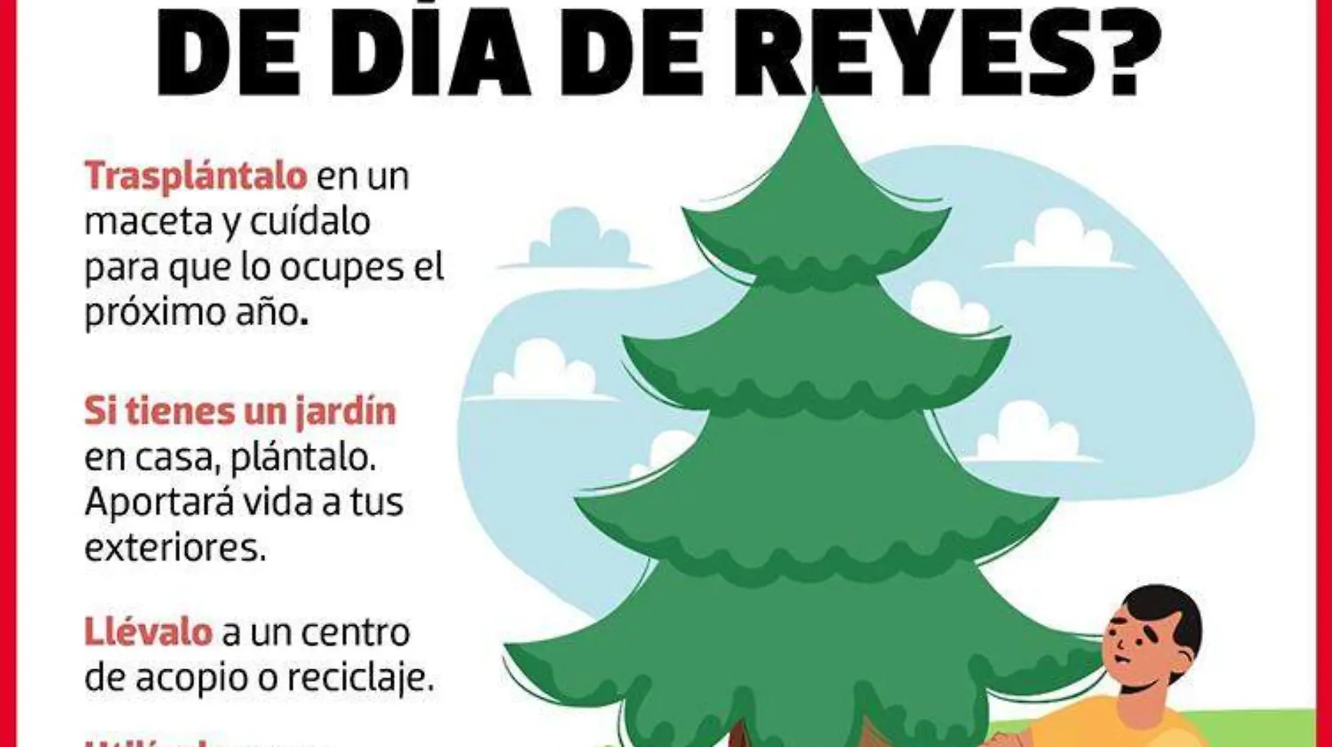 Usarán residuos de pinos navideños para elaboración de composta